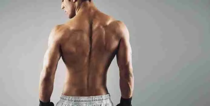Best Exercises For Back Muscles