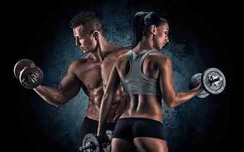 Best Biceps Exercises And Workouts