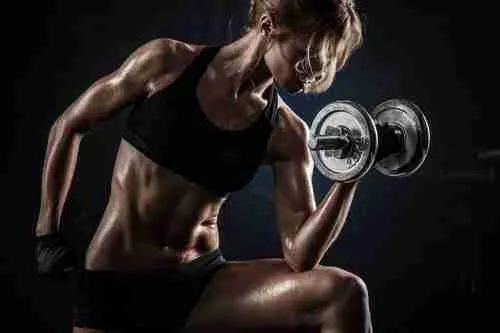 work out biceps