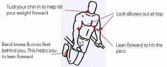 Chest dips are a powerful exercise for building a muscular chest. They also work your entire upper body including your back, arms and shoulders.