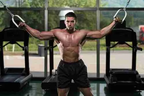 Best Chest Workout Program