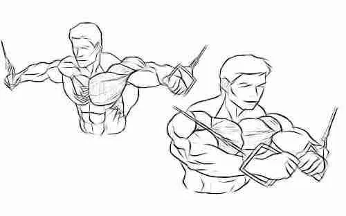 The cable crossover is a great chest exercise and the pulley position is determined by the area of the chest you want to target.