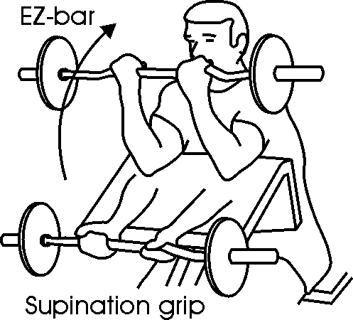 ezbar-preacher-curls