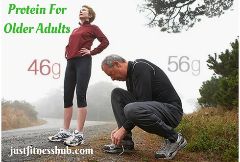 Protein And Older Adults