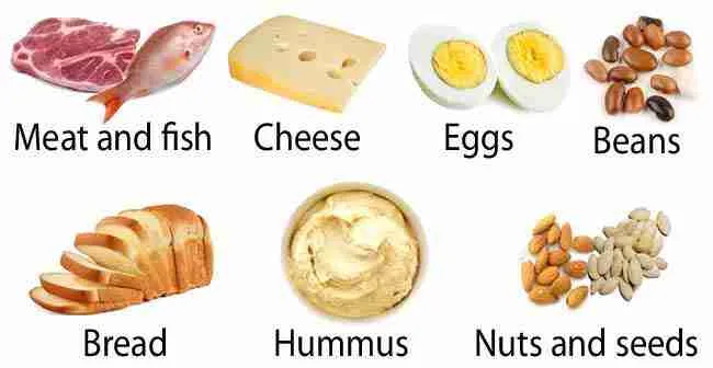 High Protein Foods For Elderly People