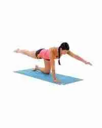 Opposite Arm and Leg Balance Exercise