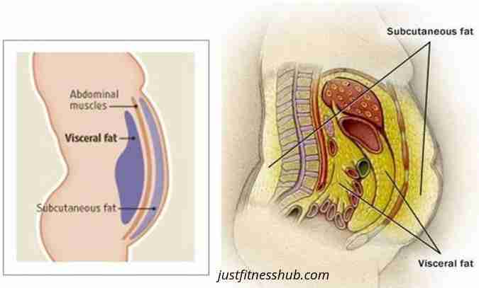 fat how reduce belly your Lose To Learn How Tricks Abdominal  Lose Visceral To Fat