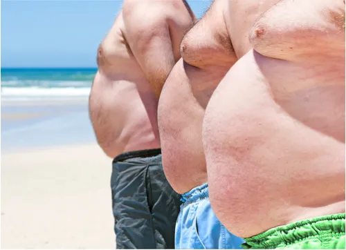 Losing Belly Fat After 65
