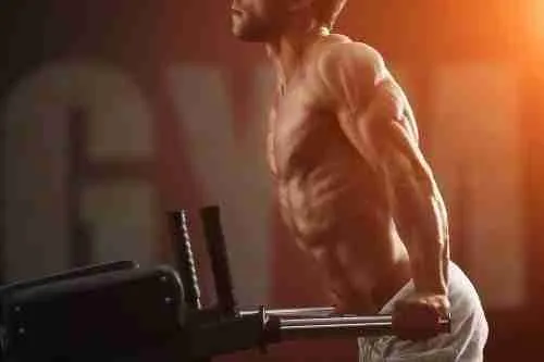 Upper/Lower Split Workout Plan|Higher Muscle Size Growth