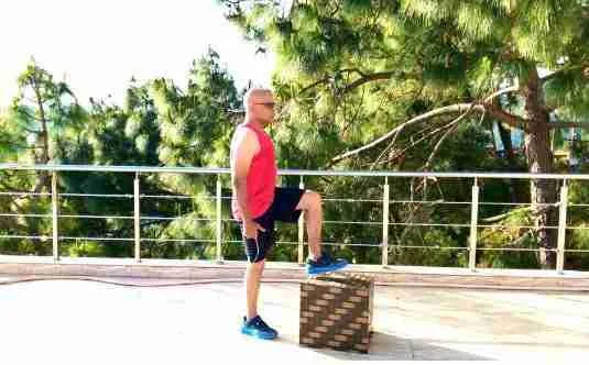Alternating Step Ups At Home