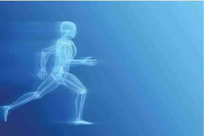 Healthy, Flexible, Strong Joints