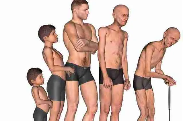 What Happens To Muscle Mass As We Age