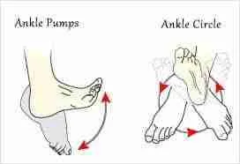 ankle pumps & rotation