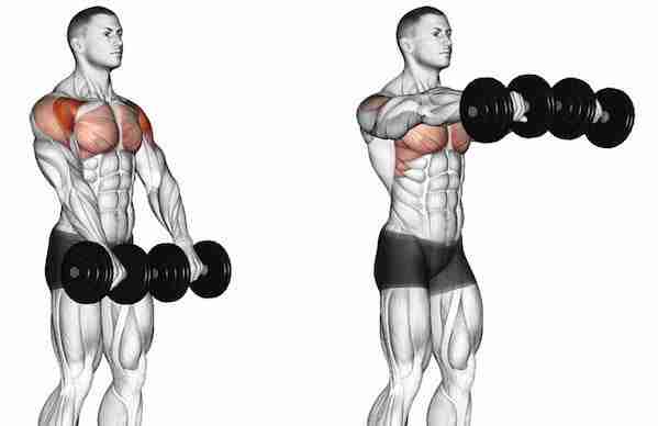 Dumbbell front raise online shoulder