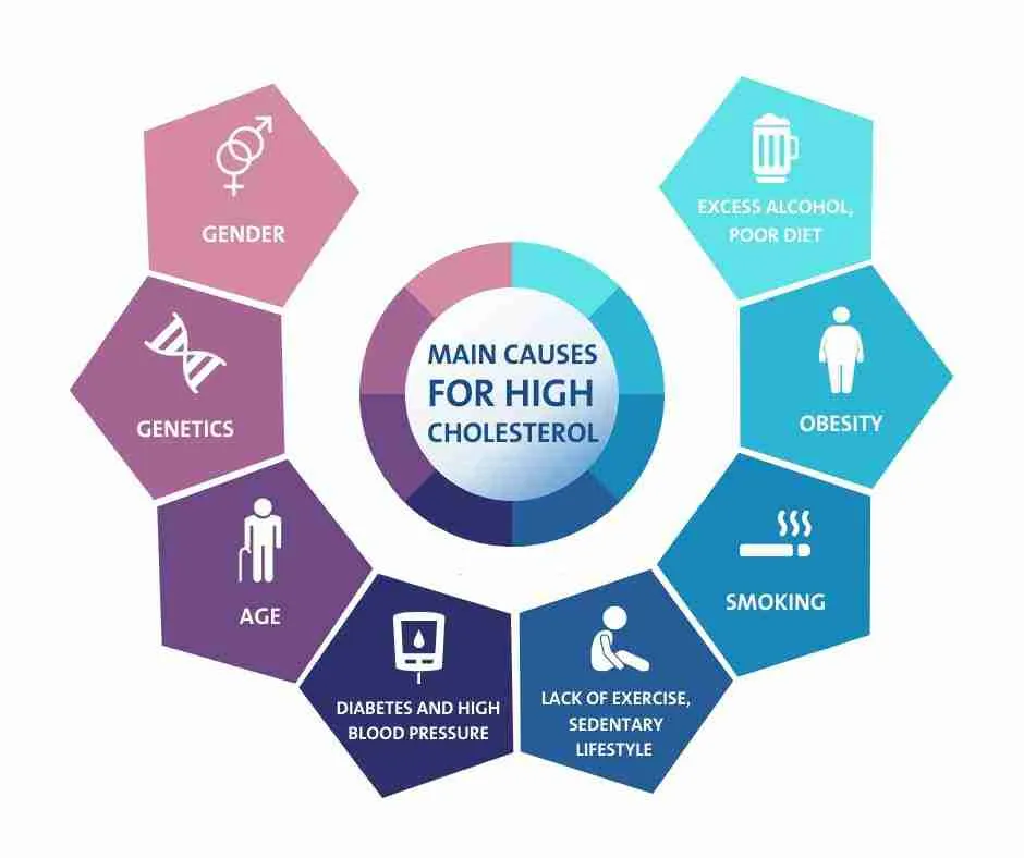 What Are Risk Factors For High Blood Cholesterol