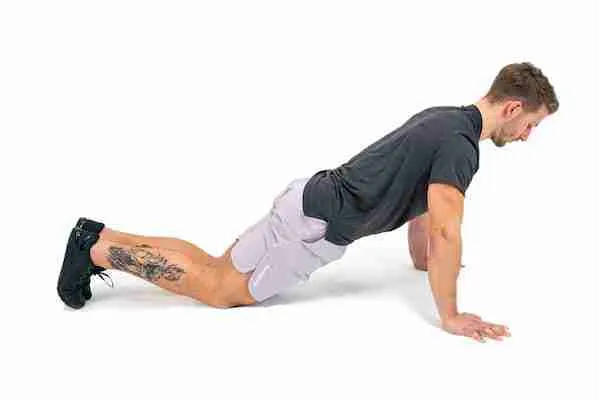 Knee Pushups