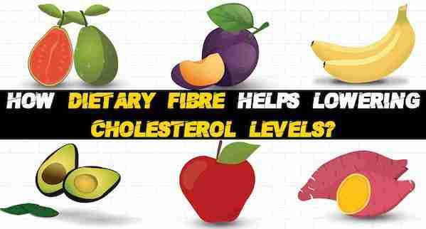 Does Fiber Help Lower Your Cholesterol Levels Just Fitness Hub