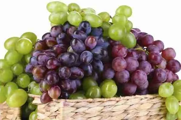 Could GRAPES prevent heart attacks and strokes?