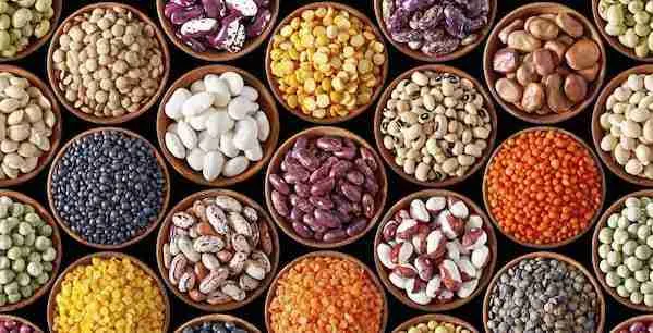 Can legumes can lower cholesterol?