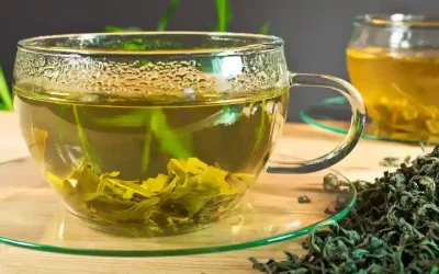 Is Green Tea Good For You – Green Tea Benefits