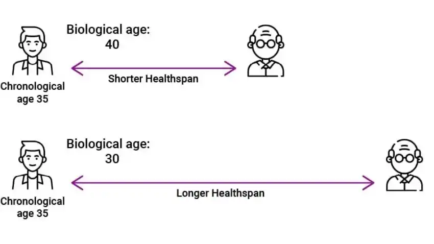 Slow Down Biological Aging