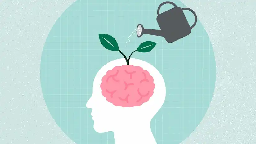 Top Nutrients For Healthy Brain